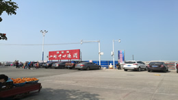 东方汽车网